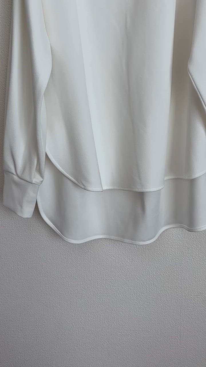 BEARDSLEY tシャツ Tブラウス「2サイズ展開」 レディース