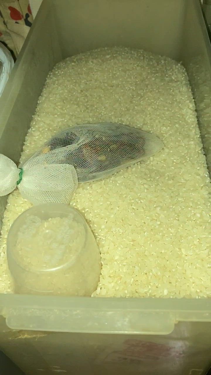 全体のレビュー動画のサムネイル | 6