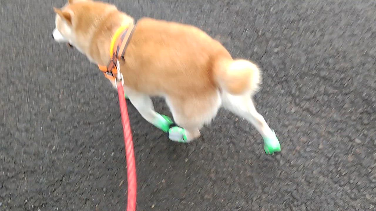 全体のレビュー動画のサムネイル | 4