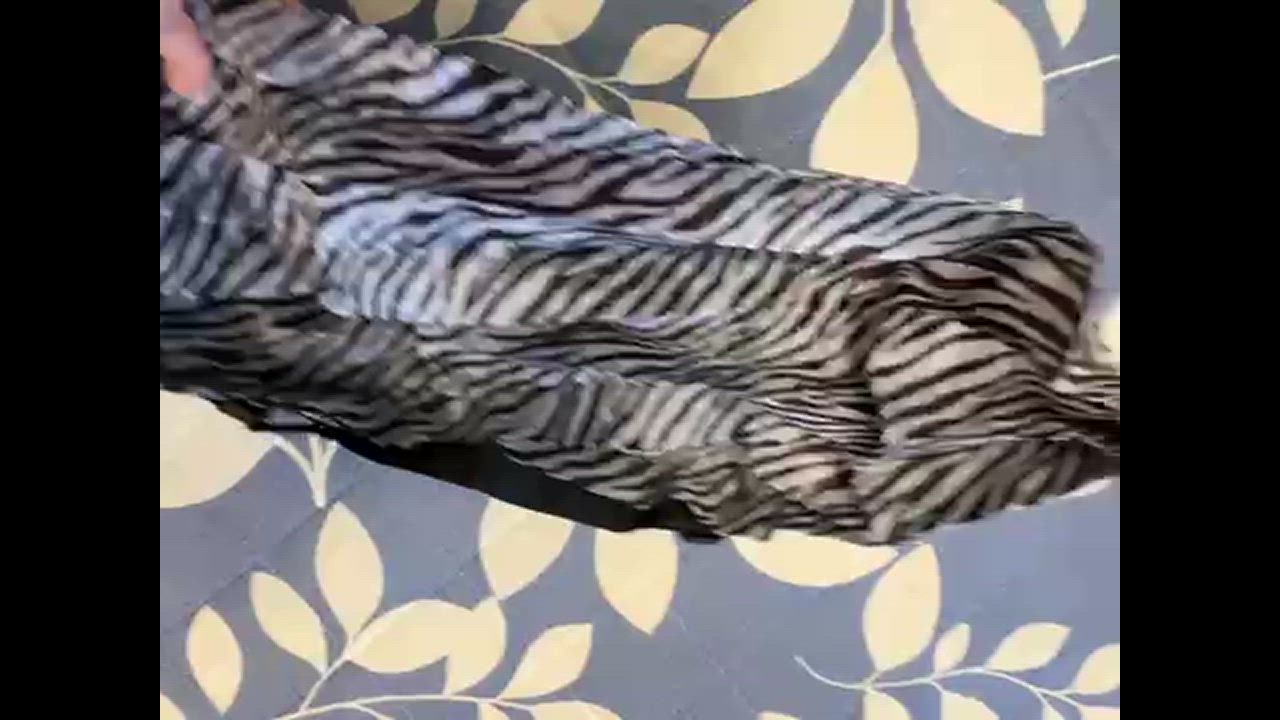 全体のレビュー動画のサムネイル | 3