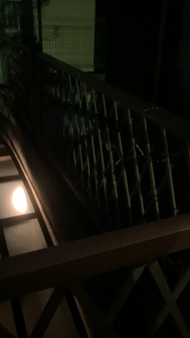 全体のレビュー動画のサムネイル | 6