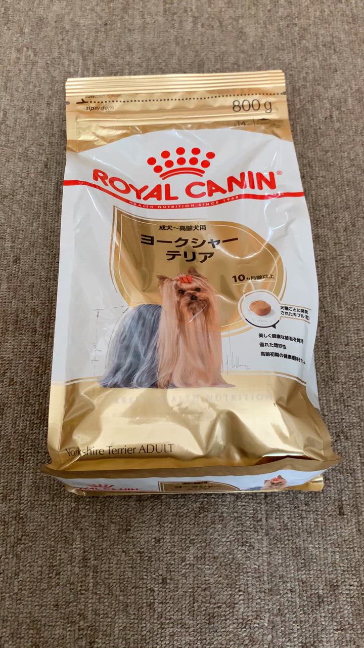 全体のレビュー動画のサムネイル | 2