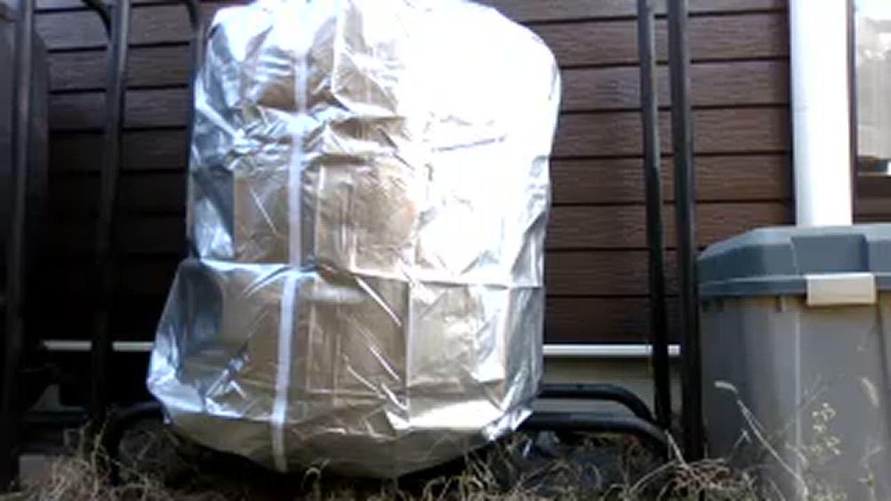 全体のレビュー動画のサムネイル | 0