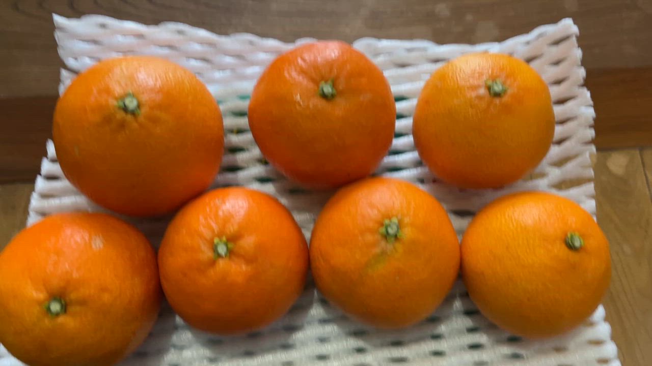全体のレビュー動画のサムネイル | 10