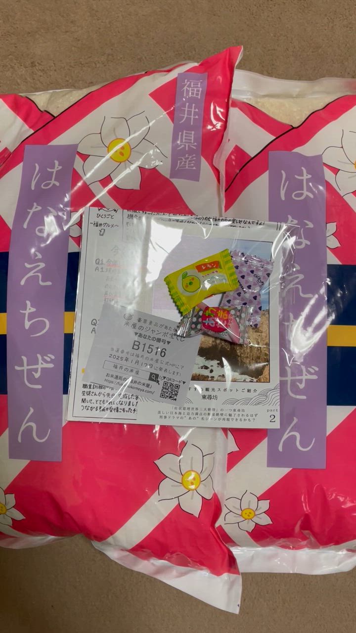 ハナエチゼン 米 20kg 5kg×4袋 白米 福井県産 令和6年産 送料