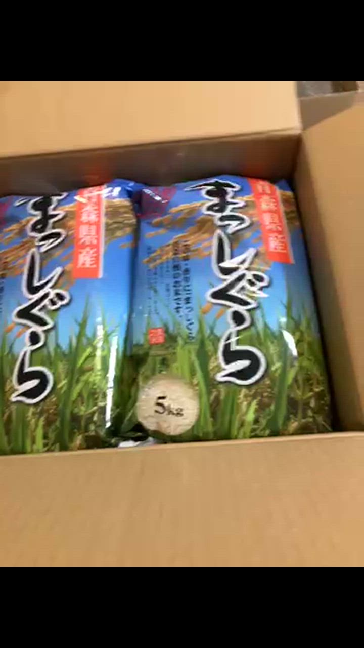 令和6年産（白米）青森県産まっしぐら 10kg お米 精米 送料無料