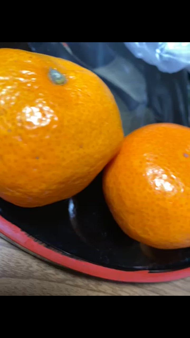 全体のレビュー動画のサムネイル | 13