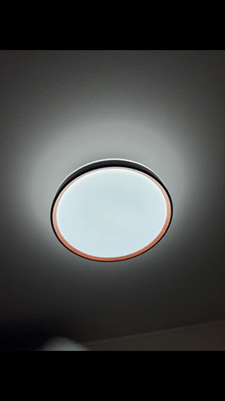 全体のレビュー動画のサムネイル | 4