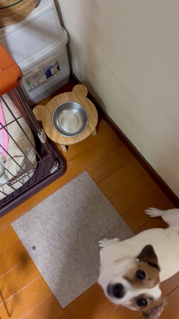 全体のレビュー動画のサムネイル | 10