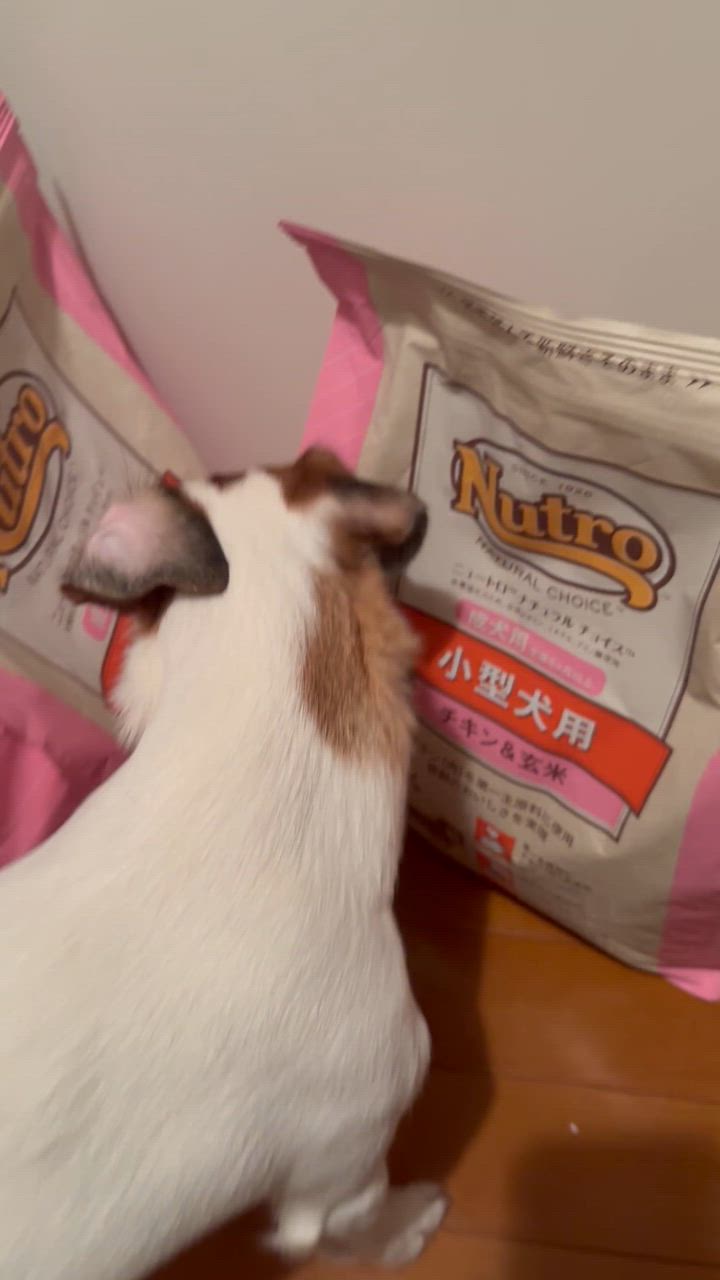 全体のレビュー動画のサムネイル | 9
