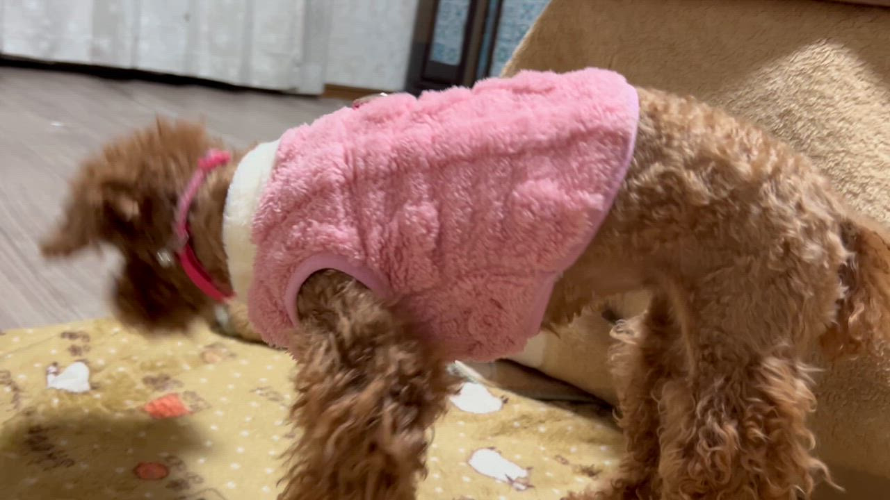 全体のレビュー動画のサムネイル | 10