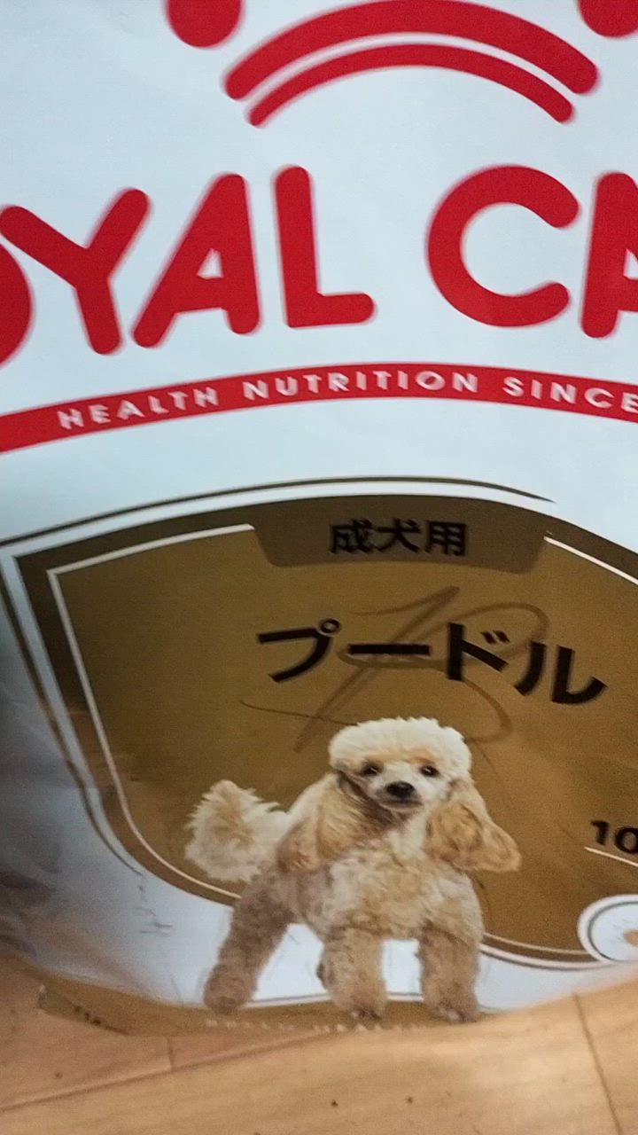 全体のレビュー動画のサムネイル | 2