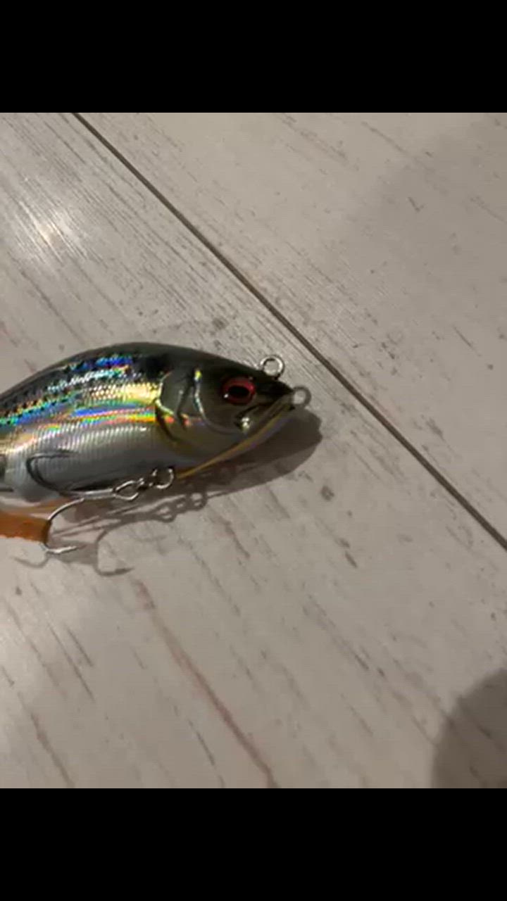 Megabass メガバス ハダラトラップ 【メール便配送可】 【まとめ