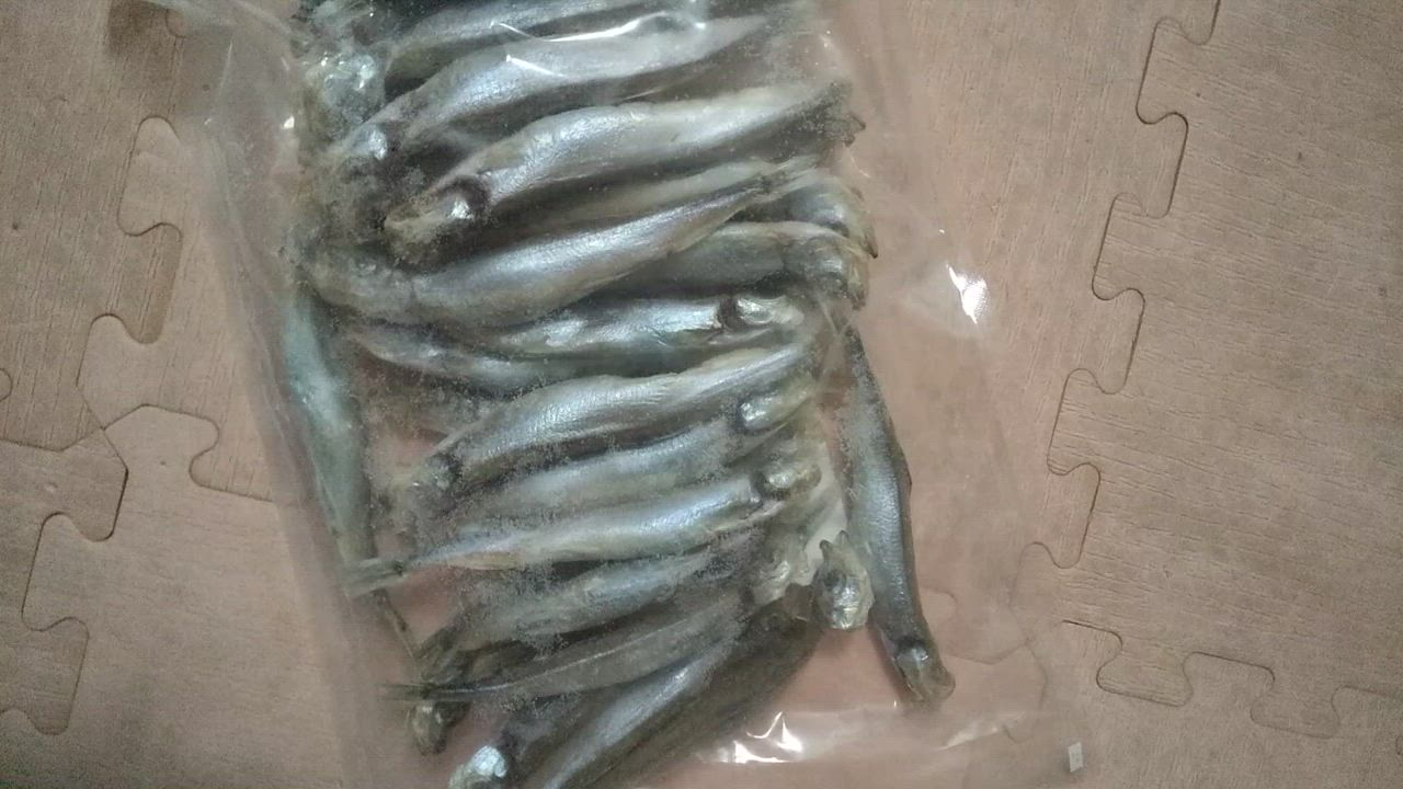 全体のレビュー動画のサムネイル | 18