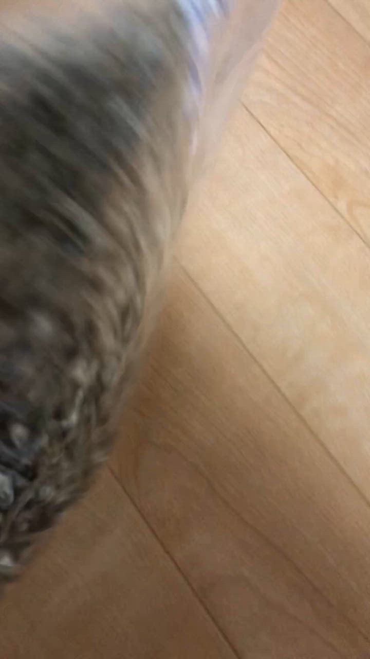 全体のレビュー動画のサムネイル | 18