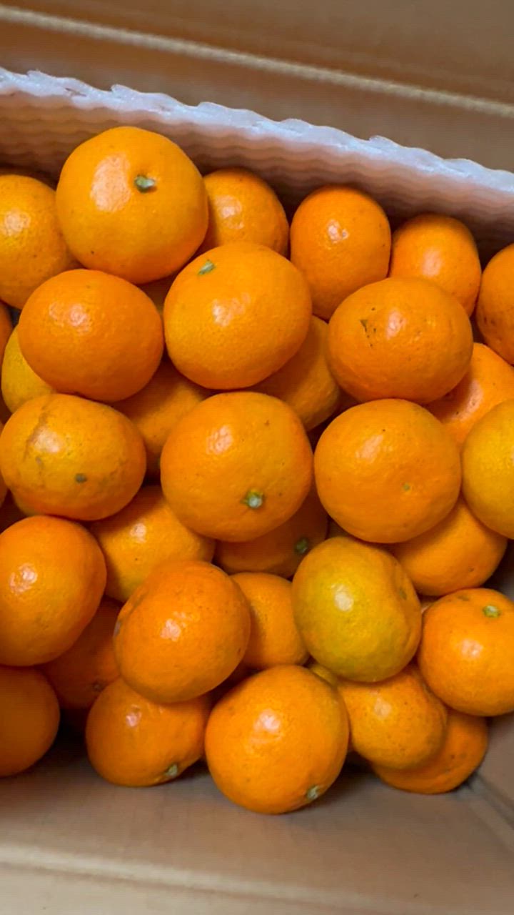 みかん 温州みかん 約4.5kg 家庭用 こつぶっこ 約95~115玉 ※傷み