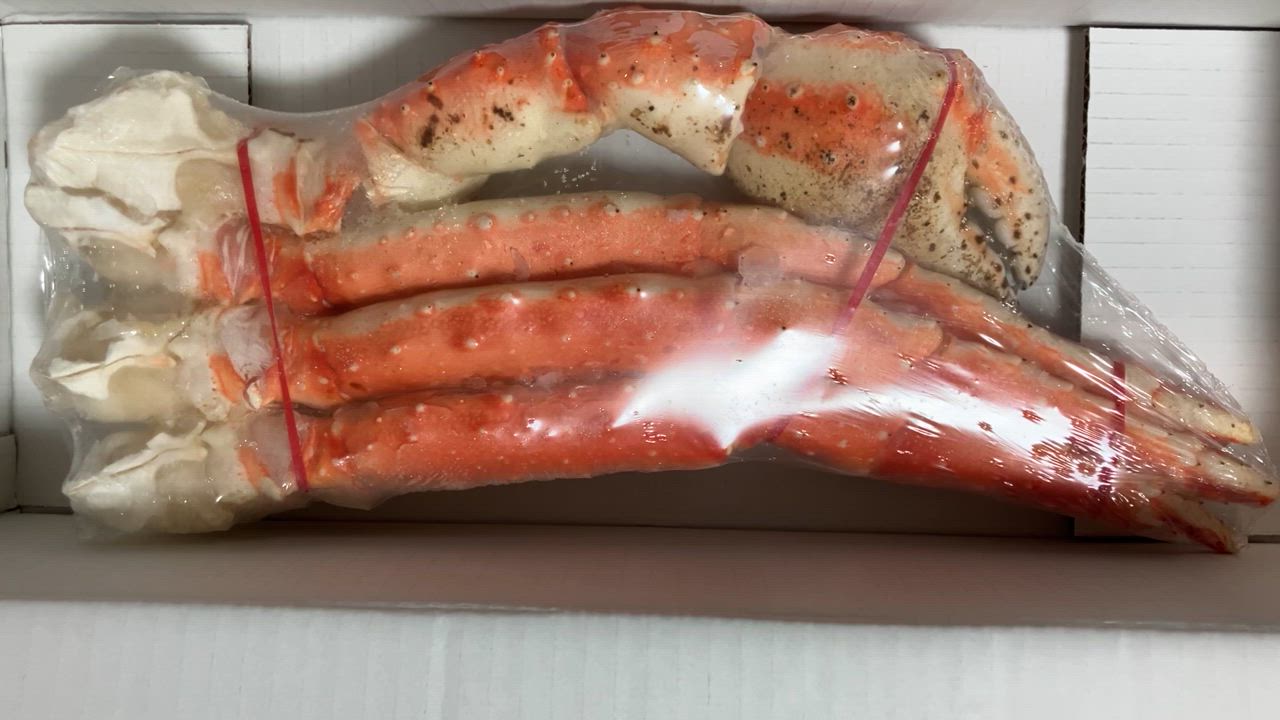 全体のレビュー動画のサムネイル | 1