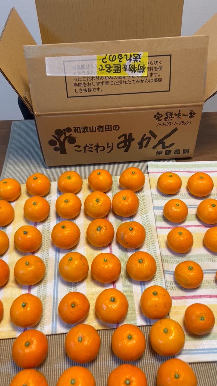 全体のレビュー動画のサムネイル | 0
