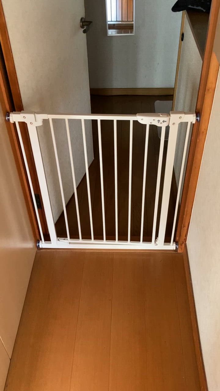 全体のレビュー動画のサムネイル | 1