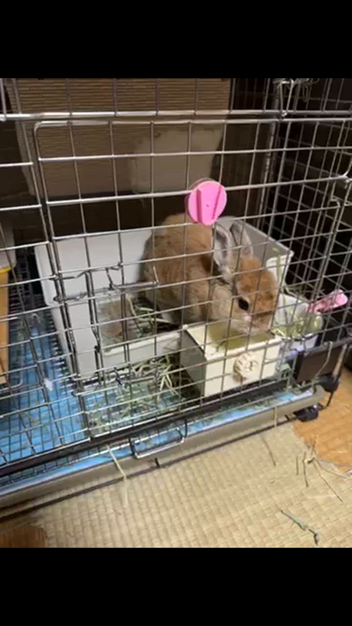 全体のレビュー動画のサムネイル | 0