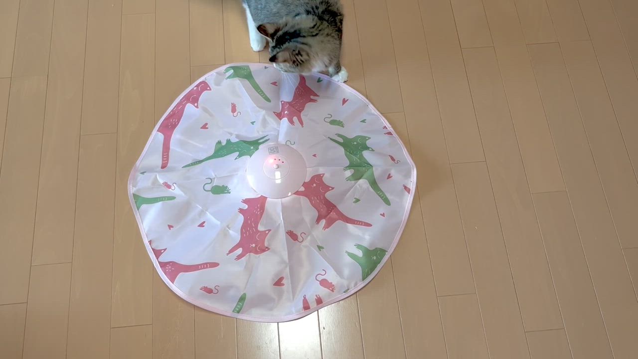 1件目のレビュー動画のサムネイル | 0