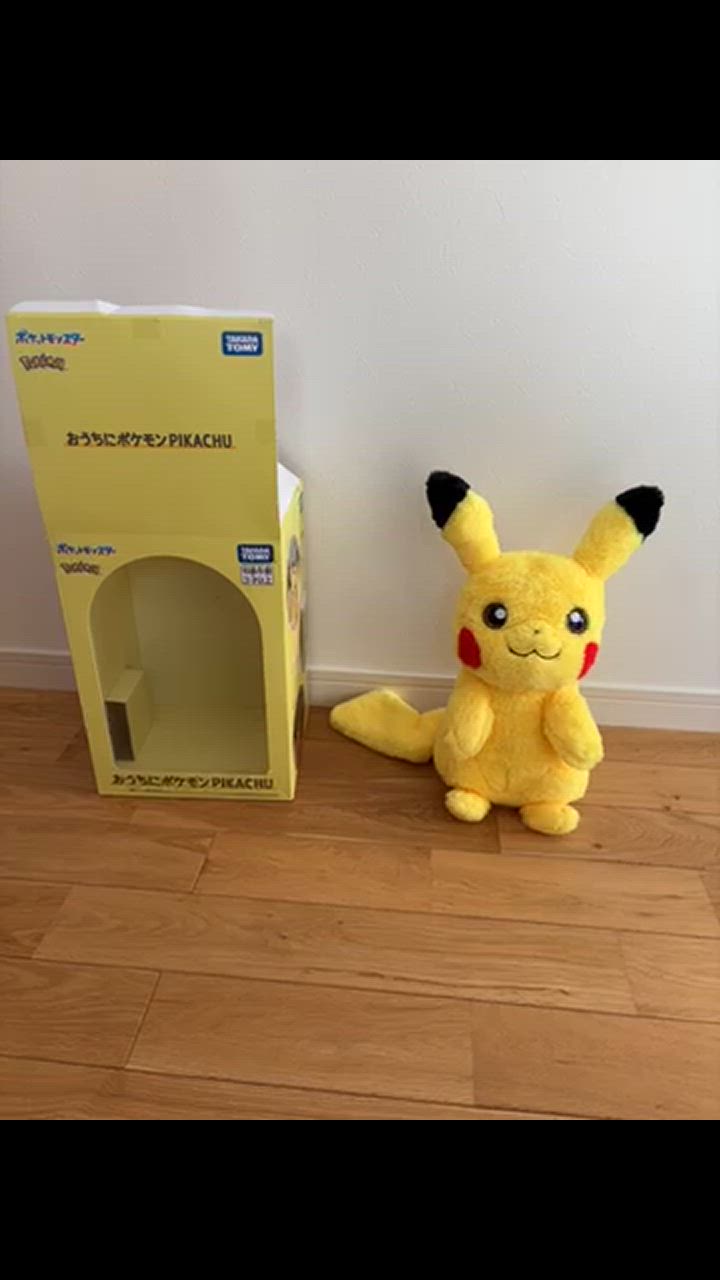 ポケットモンスター おうちにポケモン PIKACHU | おもちゃ
