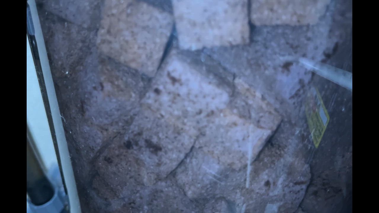 1件目のレビュー動画のサムネイル | 0