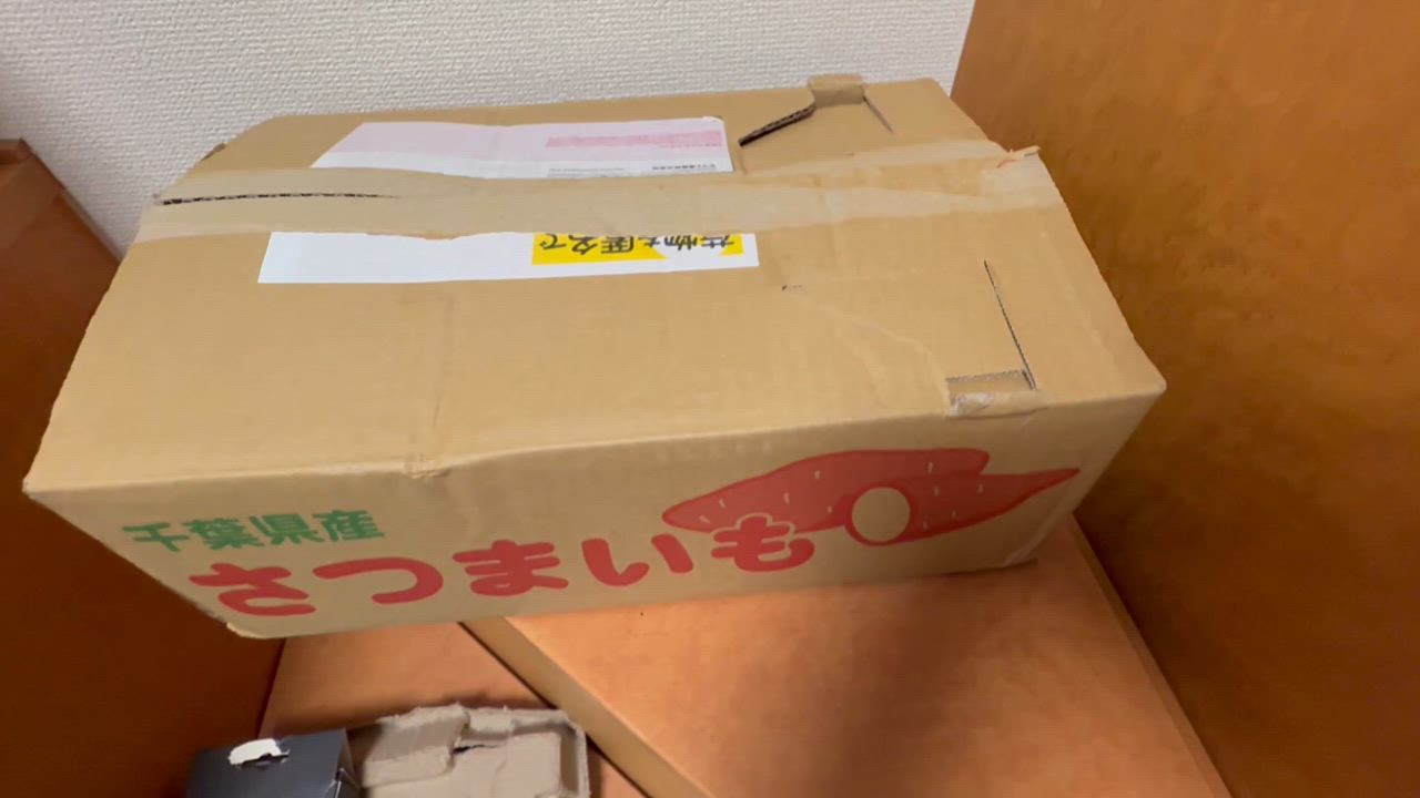 全体のレビュー動画のサムネイル | 1