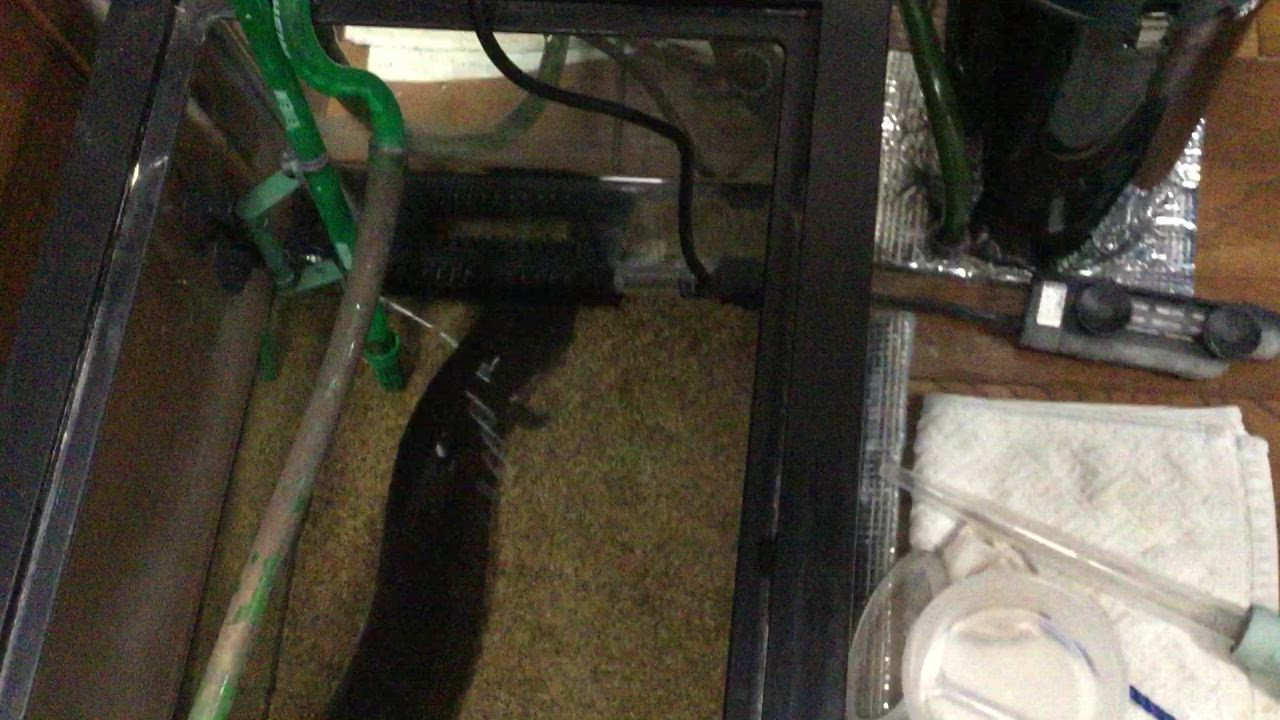 Tetra テトラ ミニヒーター コントロール 200W 60cm水槽