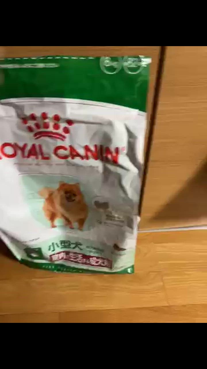  CANIN 小型犬用 ドッグフード 10kg 201962-1.jpg