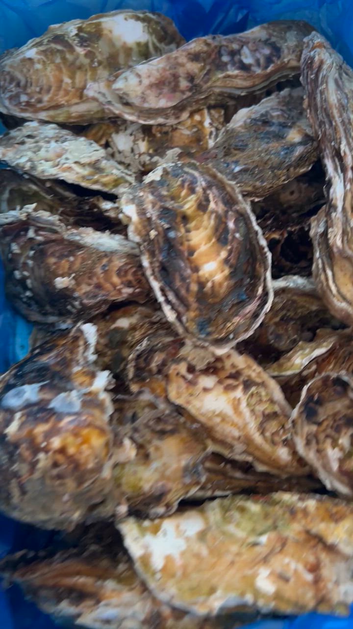 全体のレビュー動画のサムネイル | 0