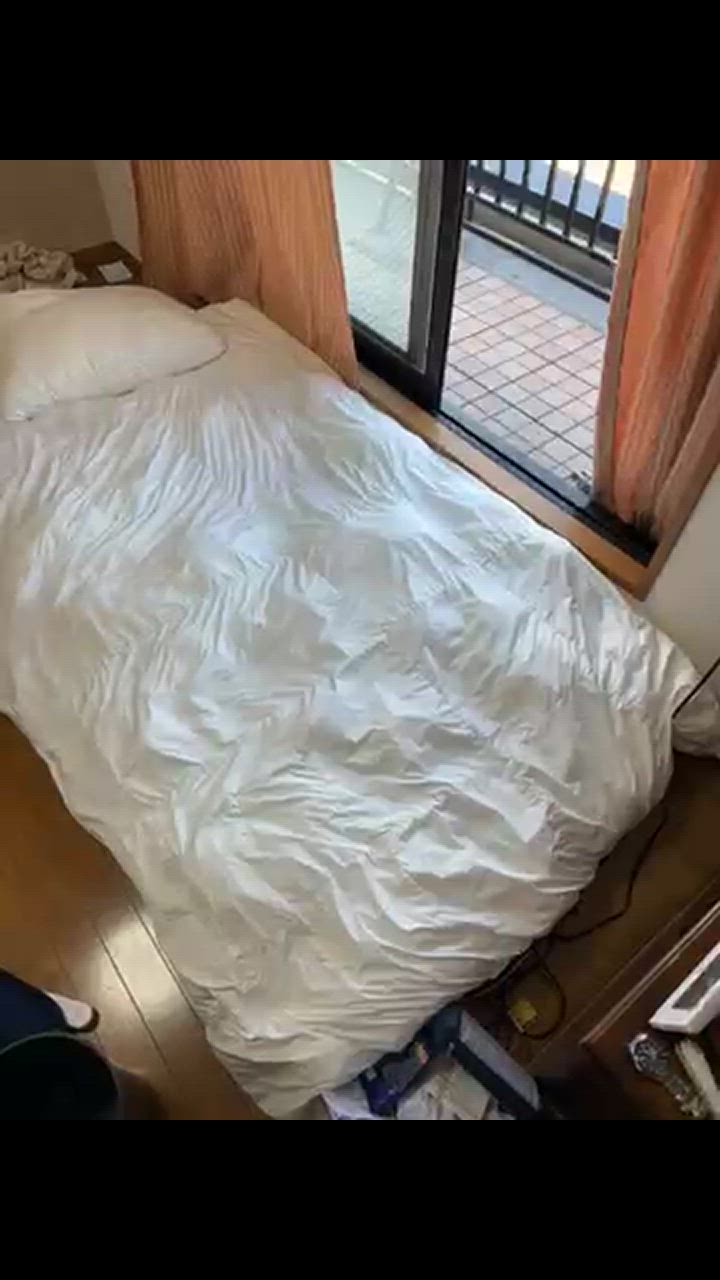 ニトリ 完全2層式 ホテルスタイル 掛け布団 シングル(Nホテル