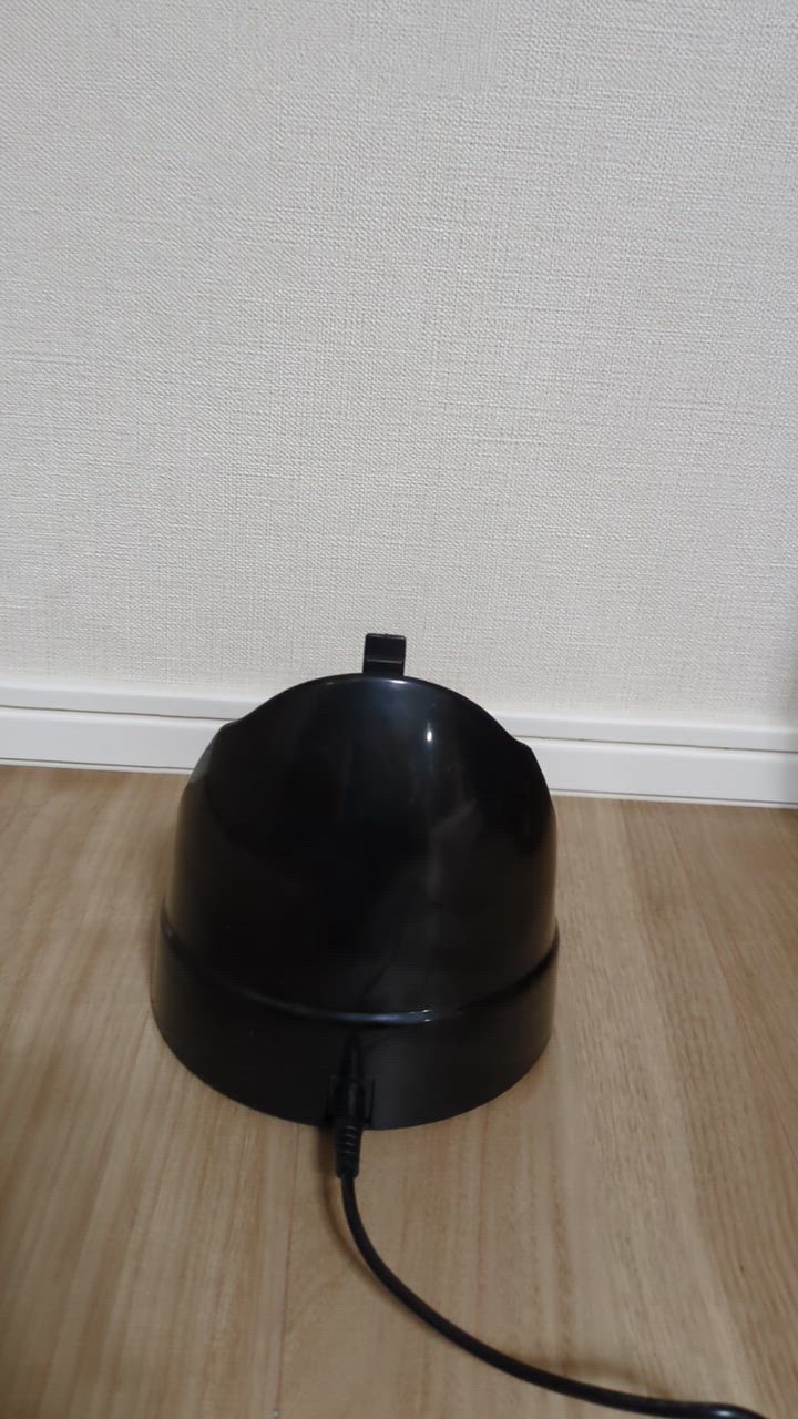 全体のレビュー動画のサムネイル | 2