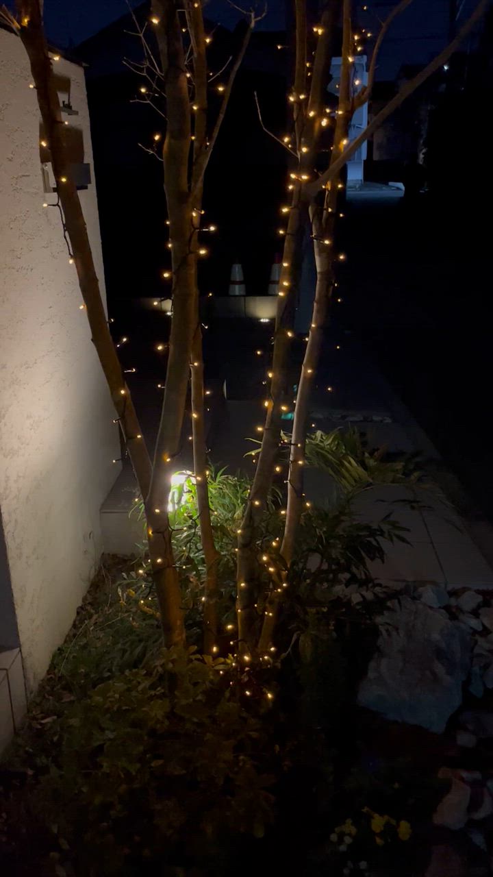 全体のレビュー動画のサムネイル | 4