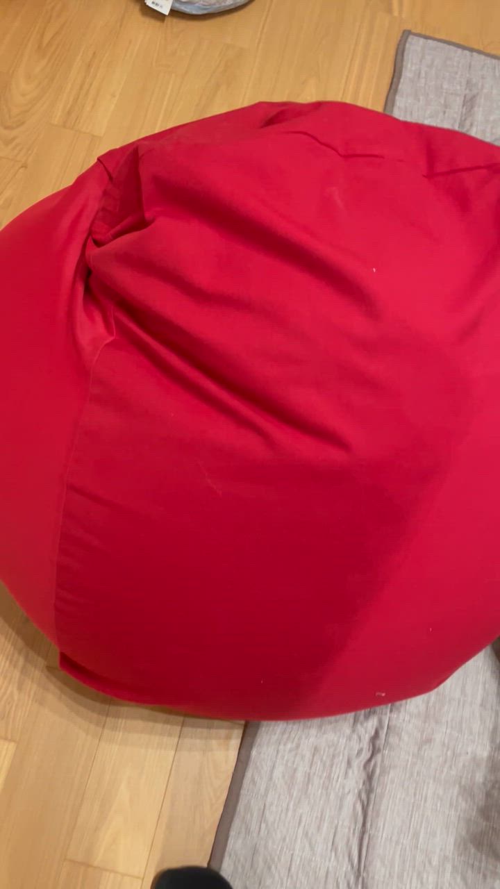 MOGU モグ 三角フィットソファ 本体+専用カバー付き セット MOGU モグ 三角フィットソファ 本体+専用カバー付き セット
