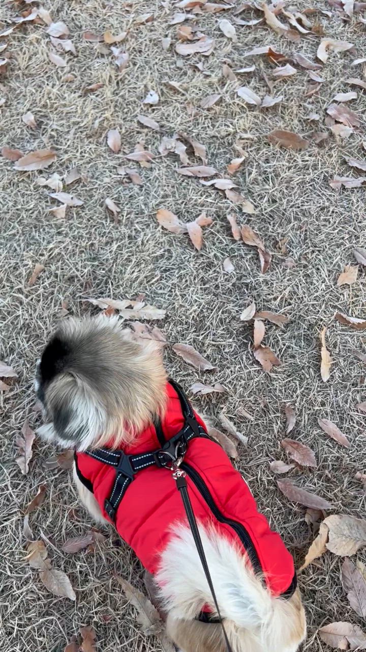 犬 服 暖かい 犬の服 ボア ダウン ジャケット コート ドッグ 犬 服 暖かい 犬の服 ボア ダウン ジャケット コート ドッグ