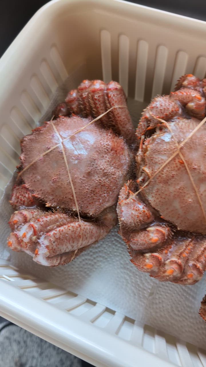 毛ガニ 北海道産 約570g×3尾入 ボイル済 ギフト 送料無料 姿 毛ガニ 北海道産 約570g×3尾入 ボイル済 ギフト 送料無料 姿