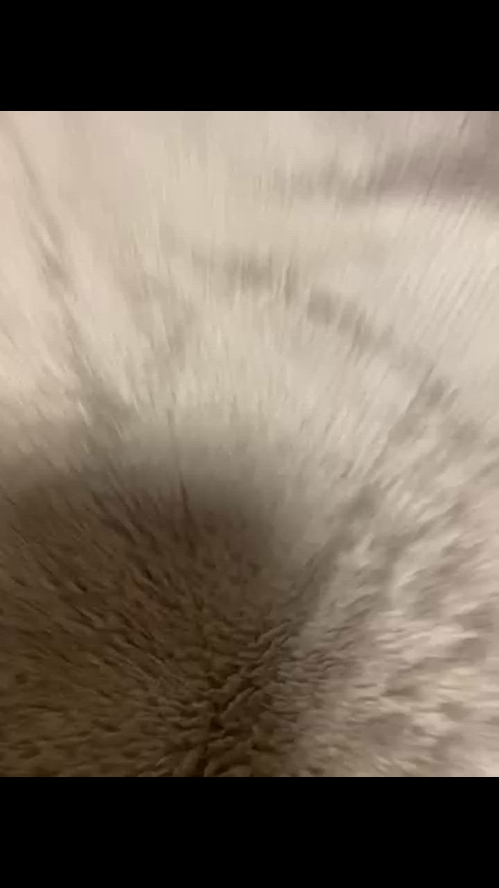 全体のレビュー動画のサムネイル | 16
