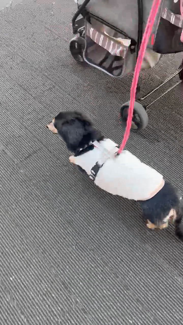 1件目のレビュー動画のサムネイル | 0