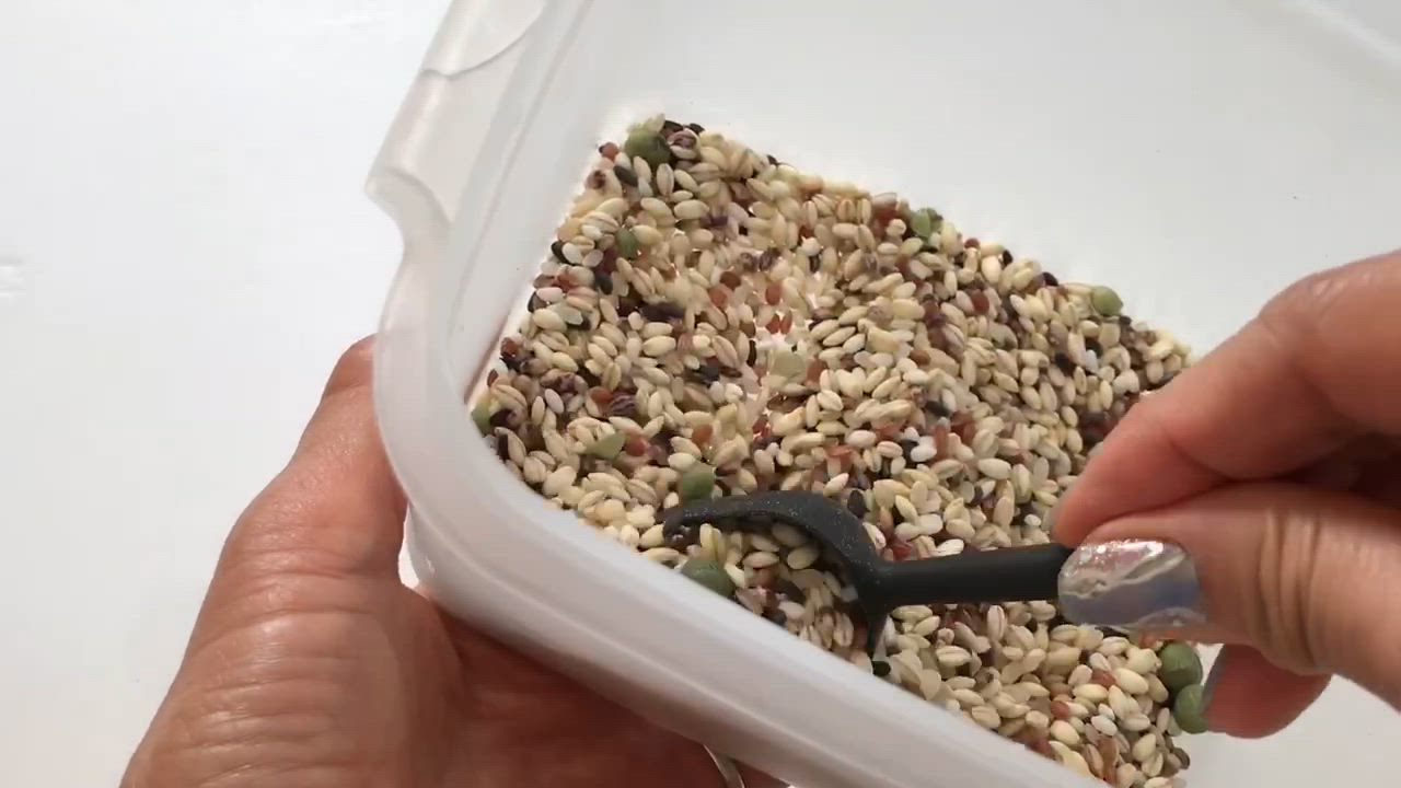 全体のレビュー動画のサムネイル | 9