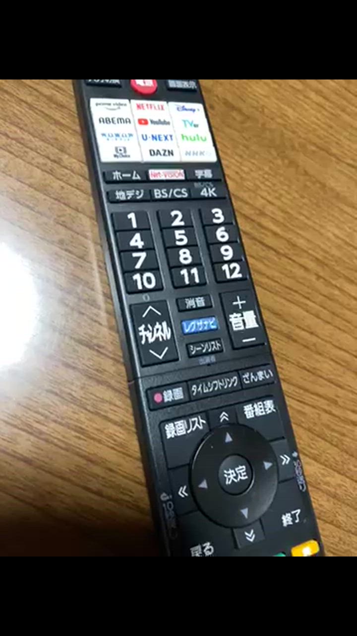 REGZA TVS 4K液晶 スマートテレビ Airplay対応 2023年モデル 50