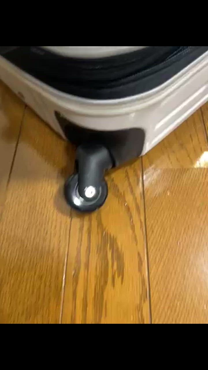 全体のレビュー動画のサムネイル | 1