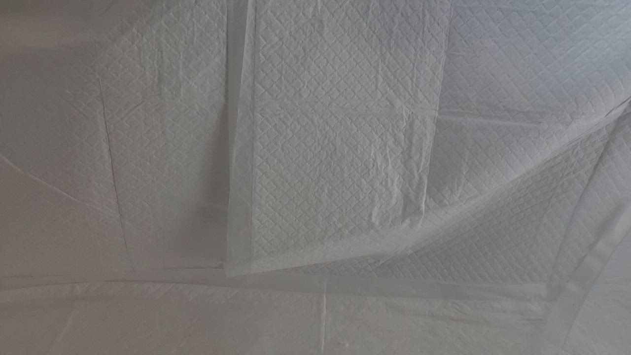 全体のレビュー動画のサムネイル | 15