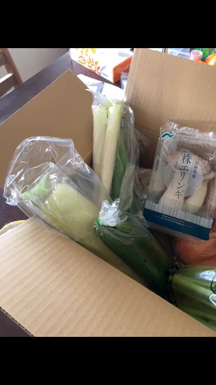 野菜セット おためし 国産野菜セット 野菜詰め合わせ 8種類入り