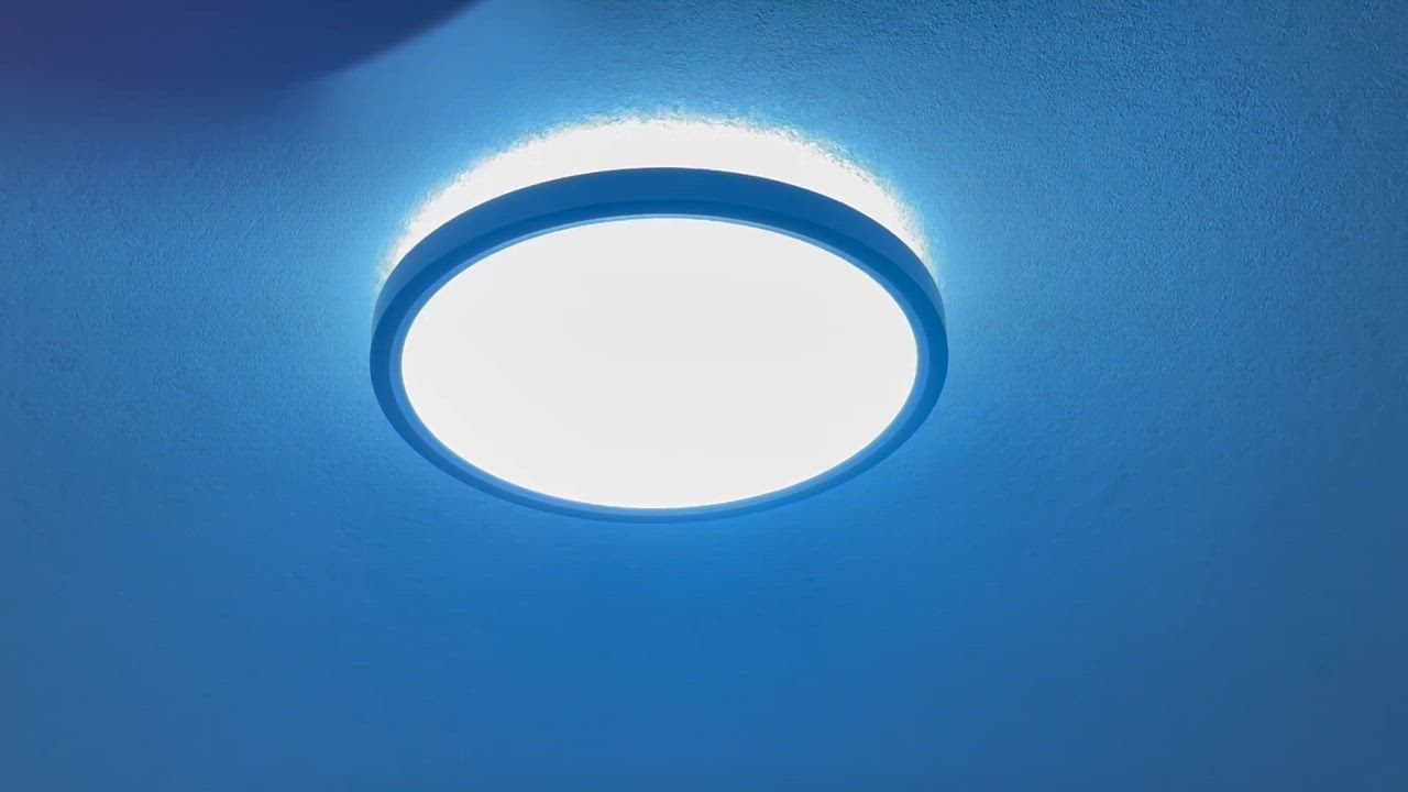 全体のレビュー動画のサムネイル | 2