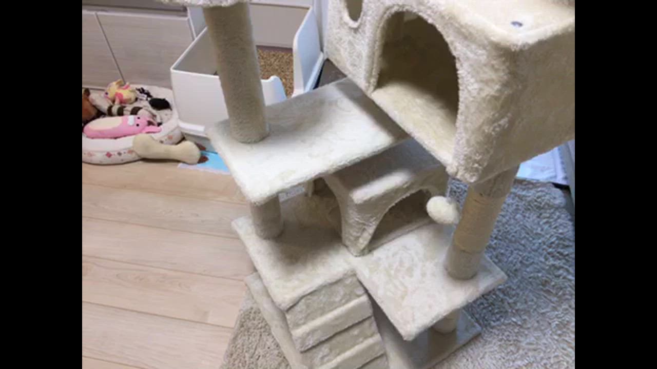 全体のレビュー動画のサムネイル | 0