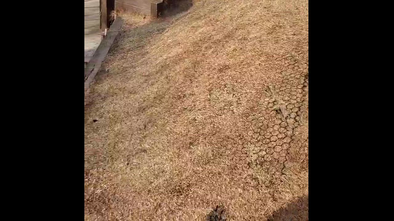全体のレビュー動画のサムネイル | 3