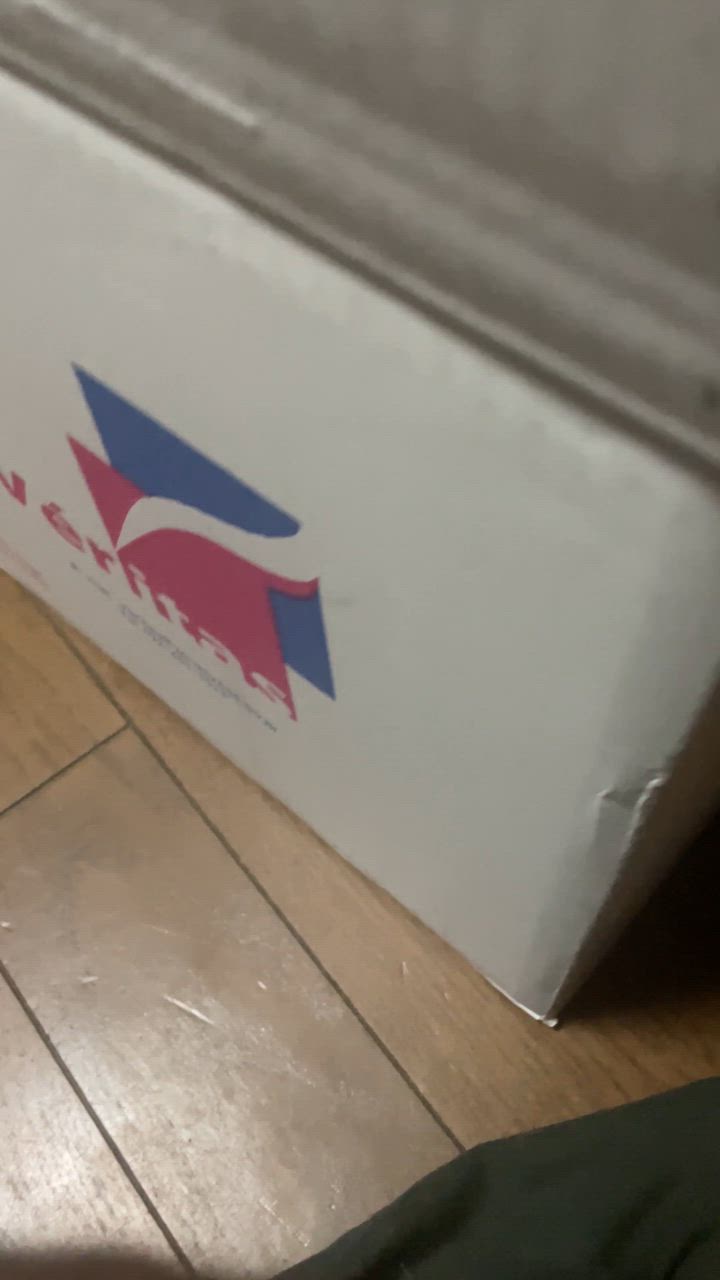 全体のレビュー動画のサムネイル | 1