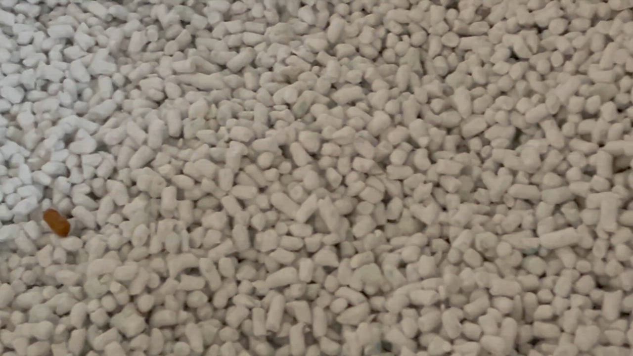 全体のレビュー動画のサムネイル | 15