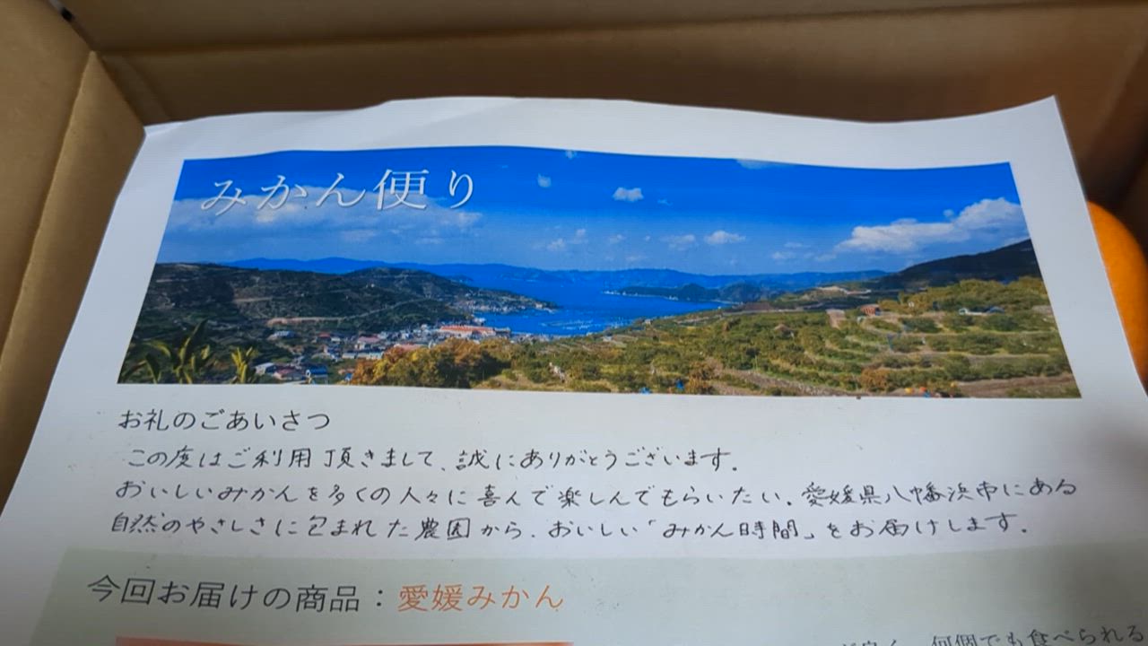 全体のレビュー動画のサムネイル | 15
